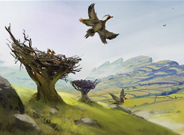Plains