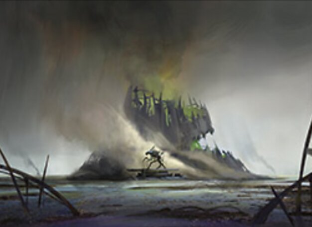 Swamp