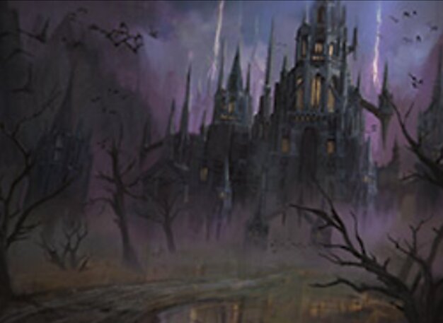 Swamp