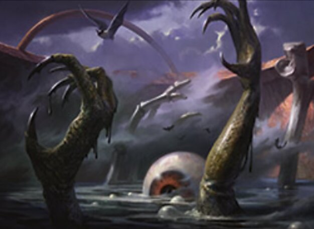 Swamp