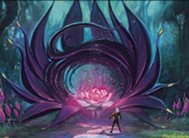 Exploration