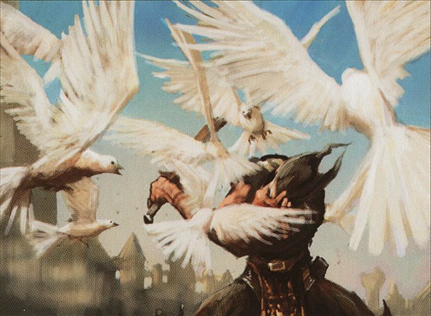Plumes de la paix