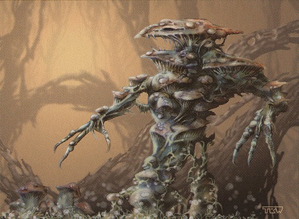 Thallidé germinateur