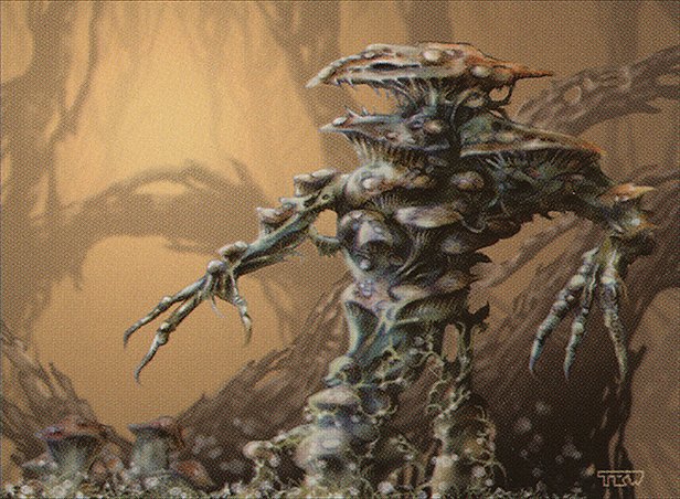 Thallid Genitrice