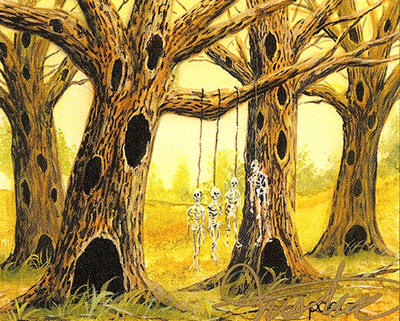 Havenwood Battleground