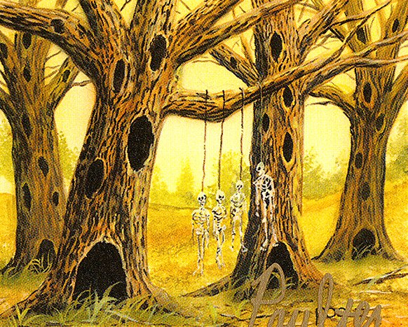 Havenwood Battleground