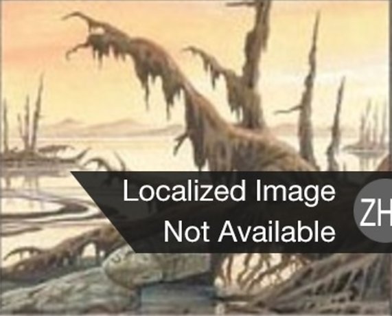 Swamp