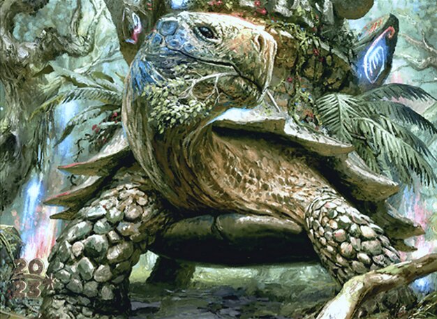 Blossoming Tortoise