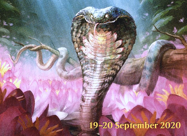 Lotus Cobra