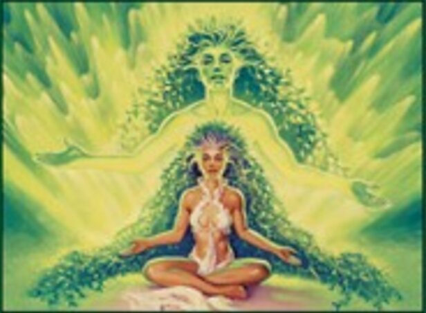 Transluminant
