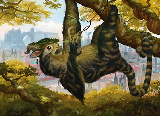 Paisseur arboricole