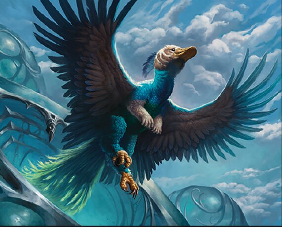 Raptor Pinnanube