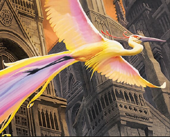 Aves do Paraíso