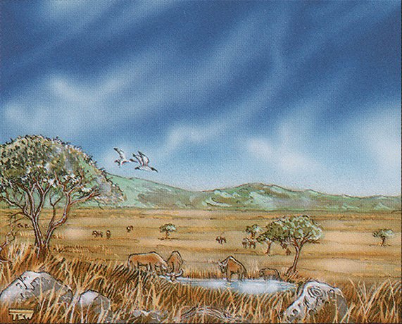 Plains