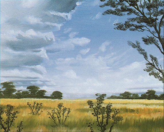 Plains