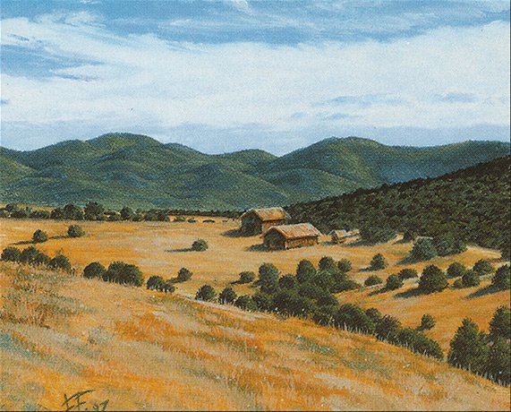 Plains