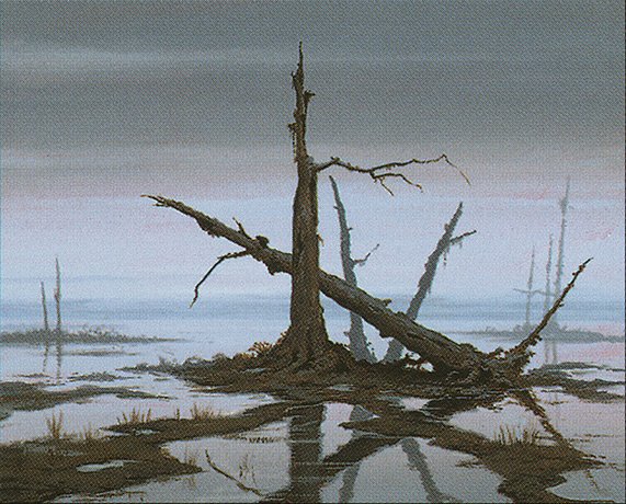 Swamp