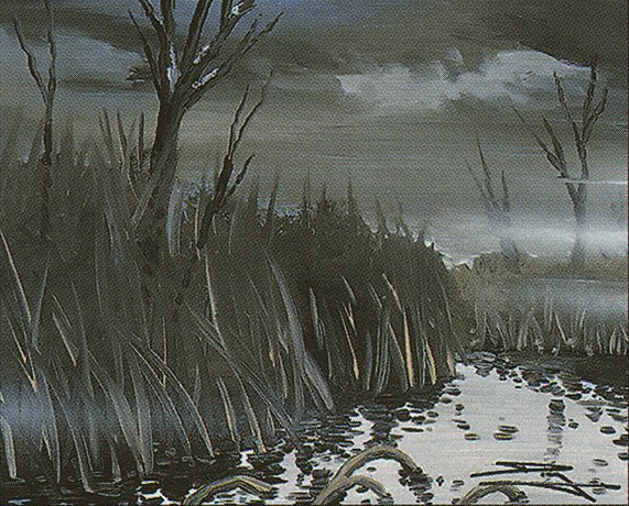 Swamp