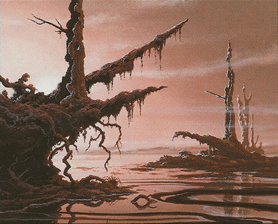 Swamp