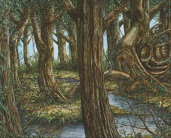 Forest