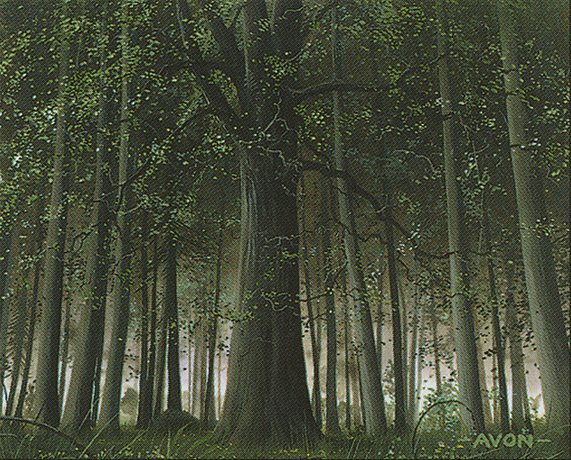 Forest