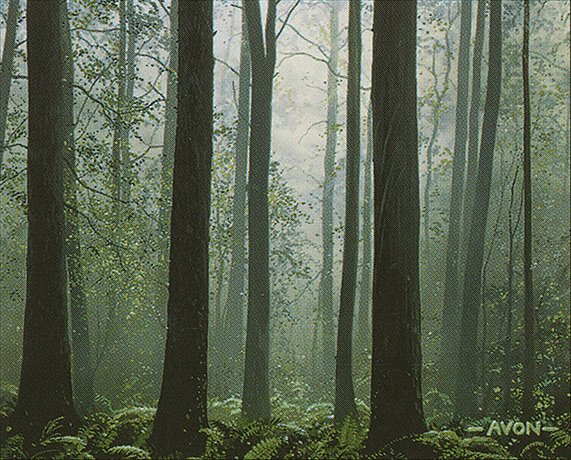Forest
