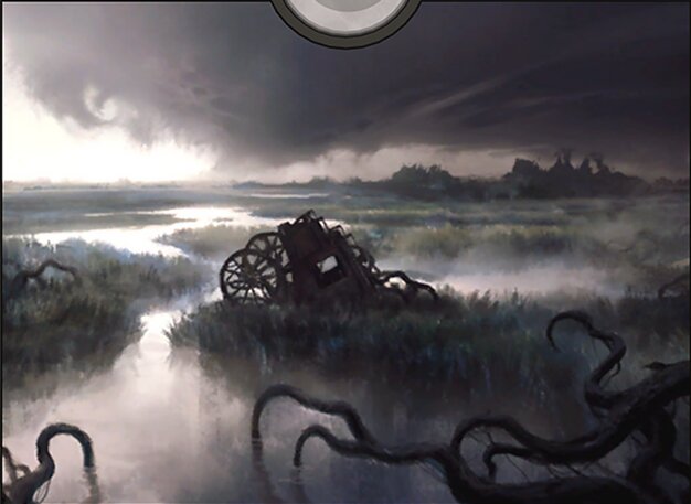 Swamp