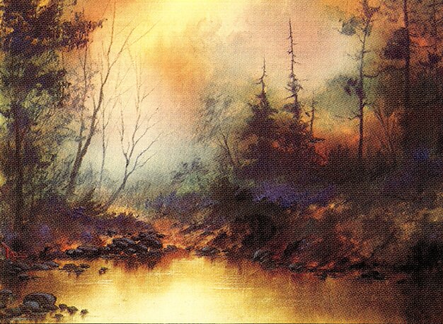 Swamp