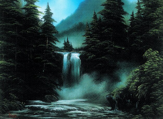 Forest
