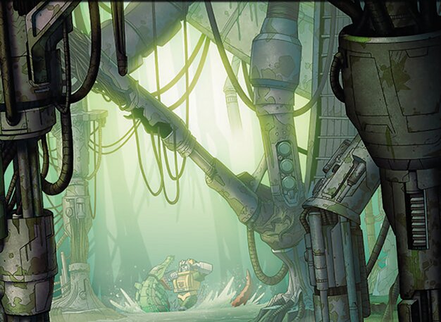 Swamp