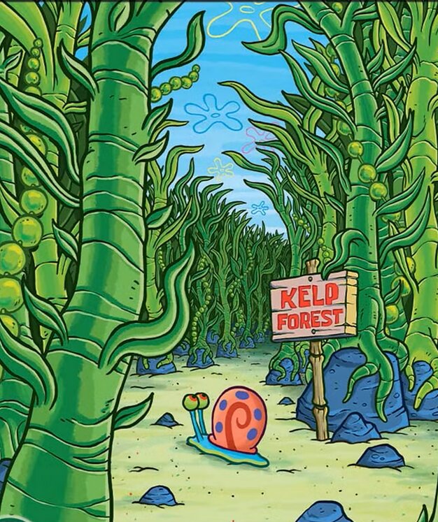 Forest