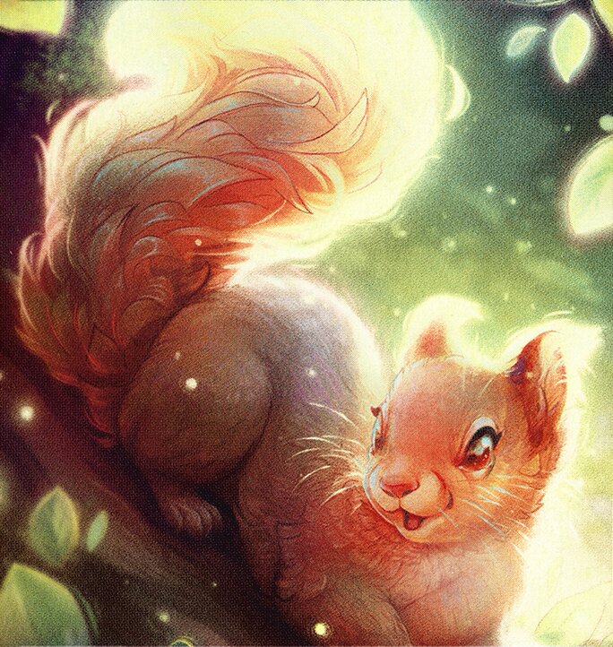 Squirrel