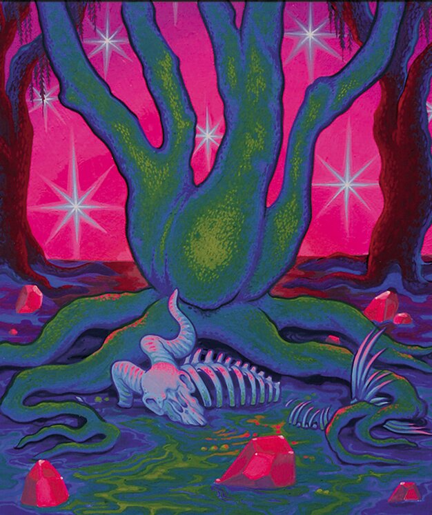 Swamp