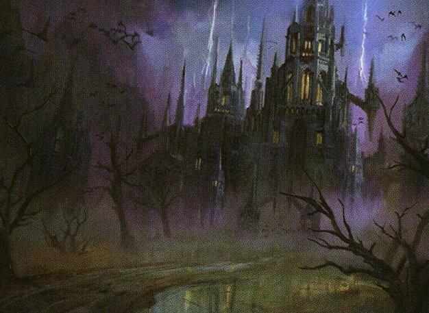 Swamp