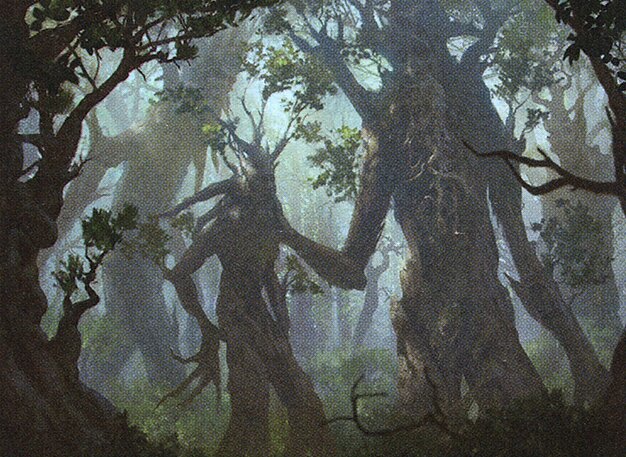 Forest