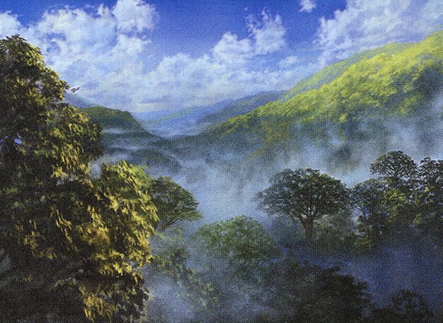 Forest