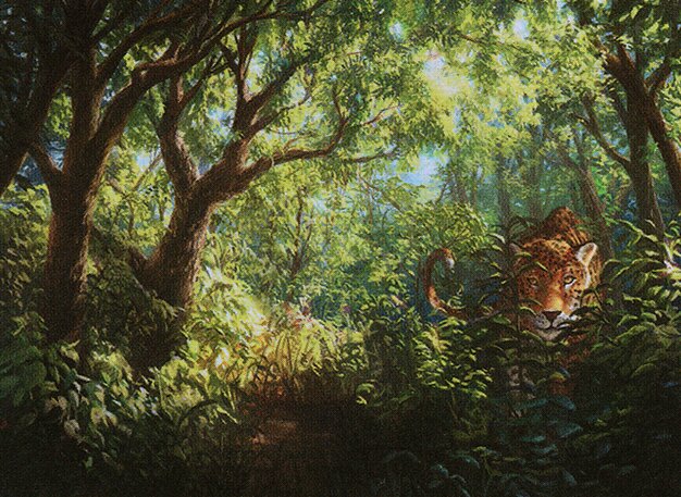 Forest