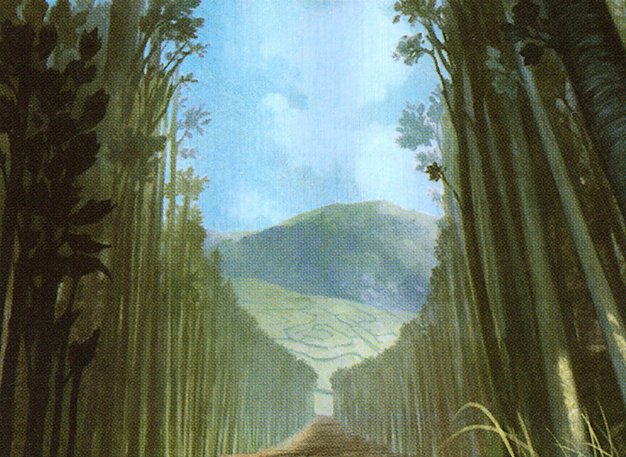 Forest