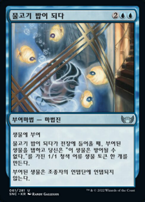 물고기 밥이 되다