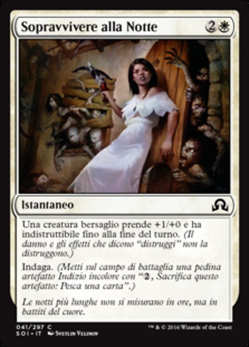 Sopravvivere alla Notte