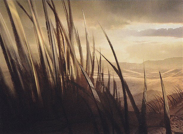Plains
