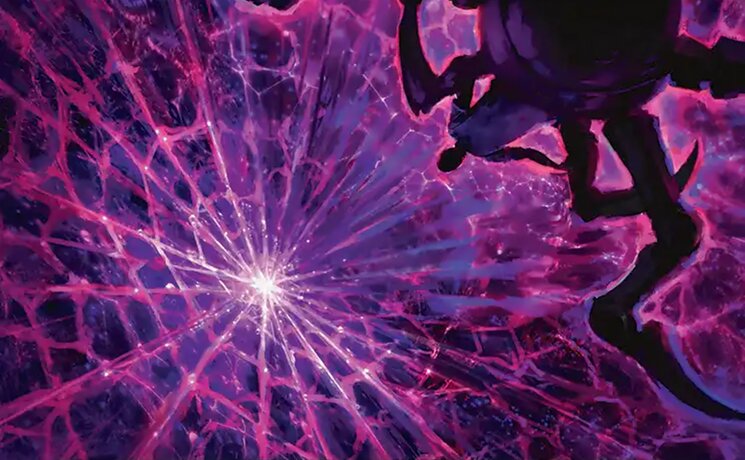 Web of Life and Destiny