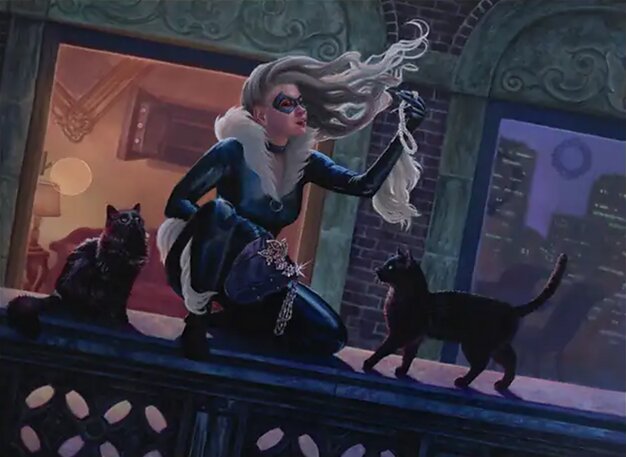 Black Cat, Cunning Thief