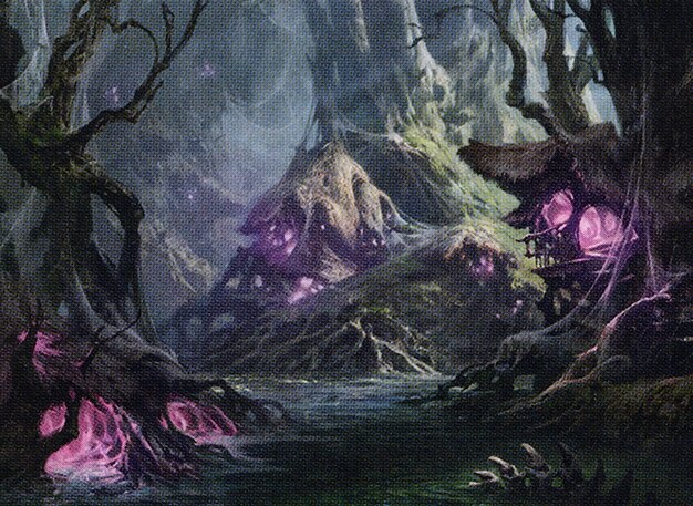 Swamp