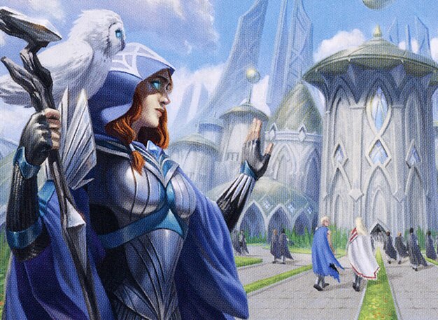 Mentor's Guidance
