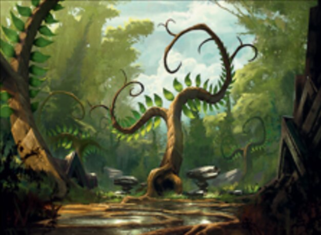Forêt