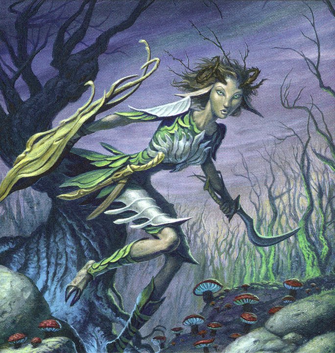 Elf Warrior