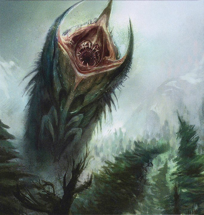 Wurm