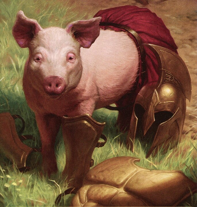 Boar