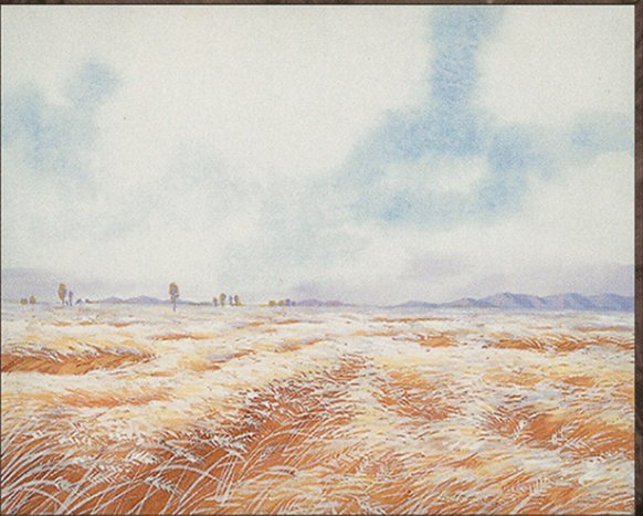Plains